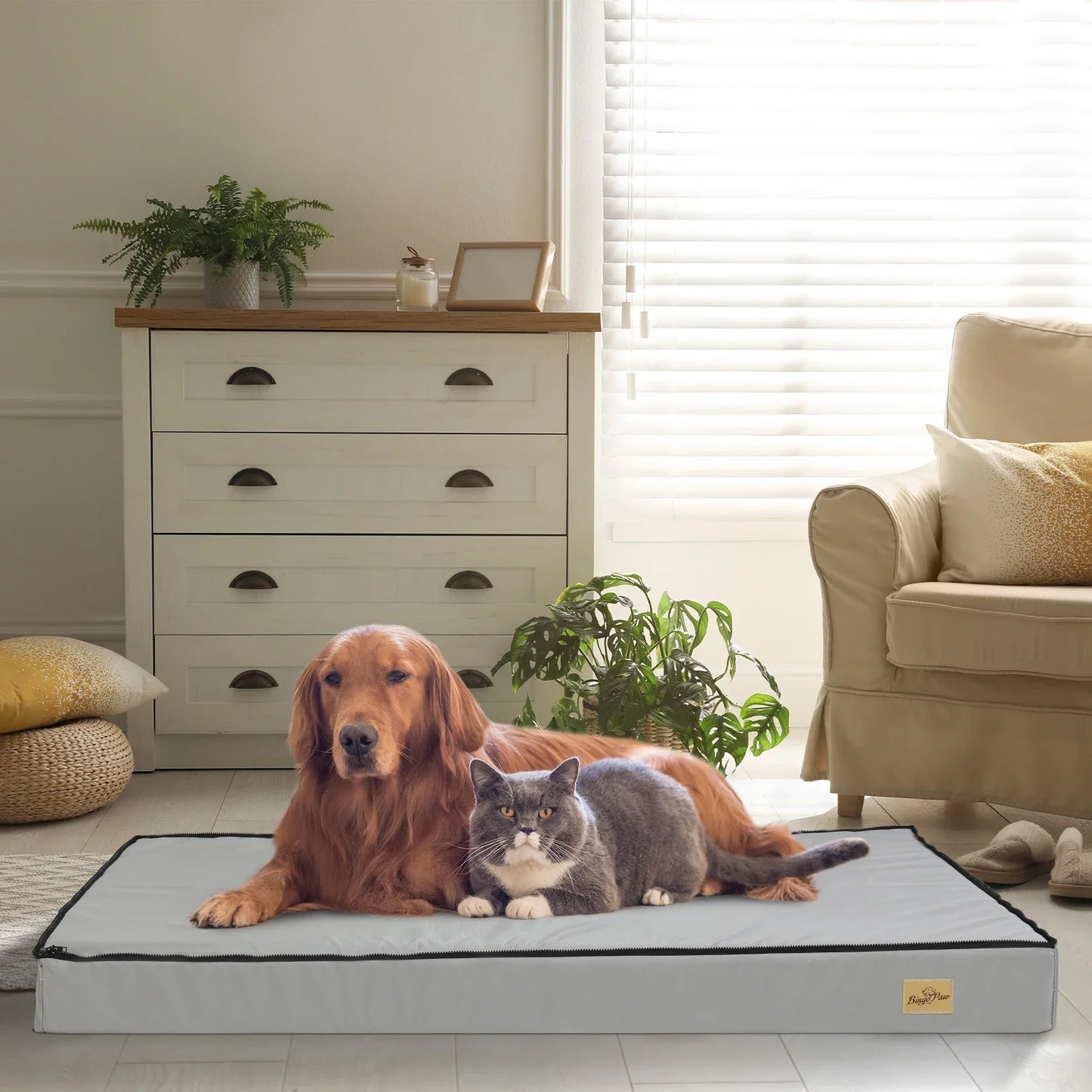 Orthopedic Dog Bed - Soft Foam Base, Calming Gray Pet Bed with Removable Cover, Sizes S to 4XL