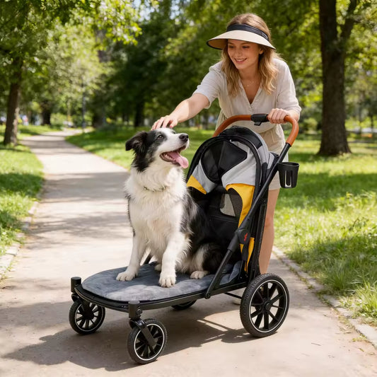 A woman pets a happy black and white dog sitting in an open pet stroller on a paved park path.