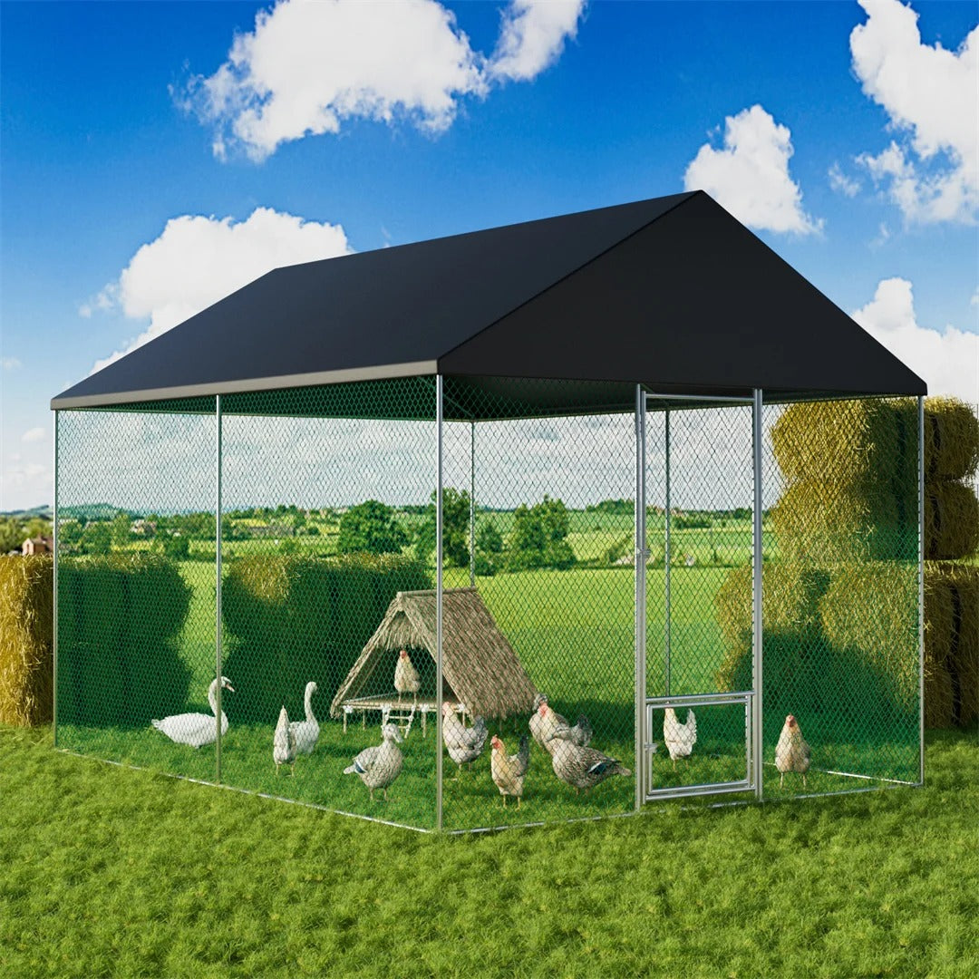 How to Winterise a Chicken Coop in the UK – Paw Comfort UK guide