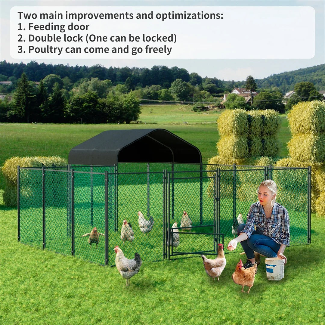 How to Protect a Chicken Coop From Foxes – Paw Comfort UK guide