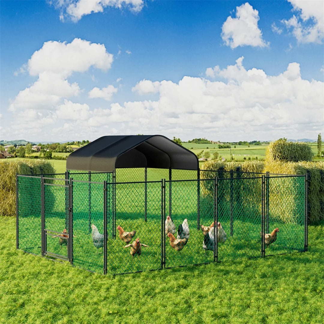 What Does a Chicken Coop Need? UK Checklist – Paw Comfort UK guide