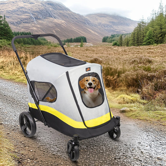 UK Trains and Buses With Pets: Travel Guide – Paw Comfort UK guide