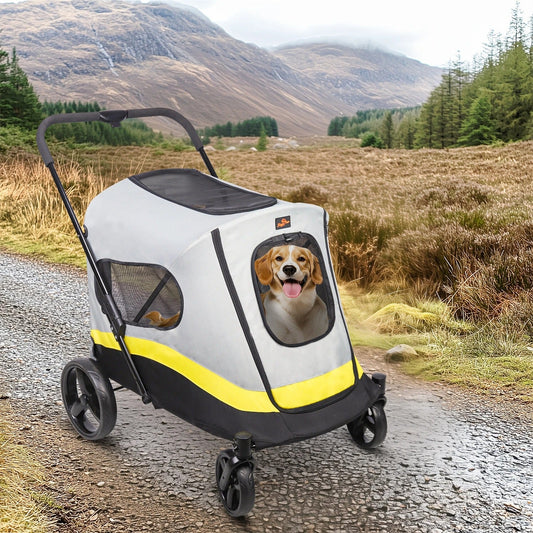 How to Travel Safely With Dogs and Cats – Paw Comfort UK guide