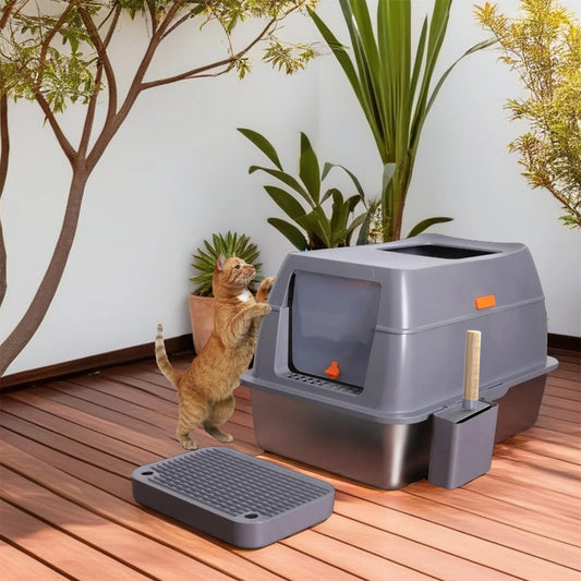 Dog Pram vs Cat Pram: Key Design Differences – Paw Comfort UK guide