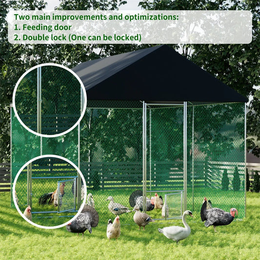Chicken Coop Layouts That Are Easy to Clean – Paw Comfort UK guide