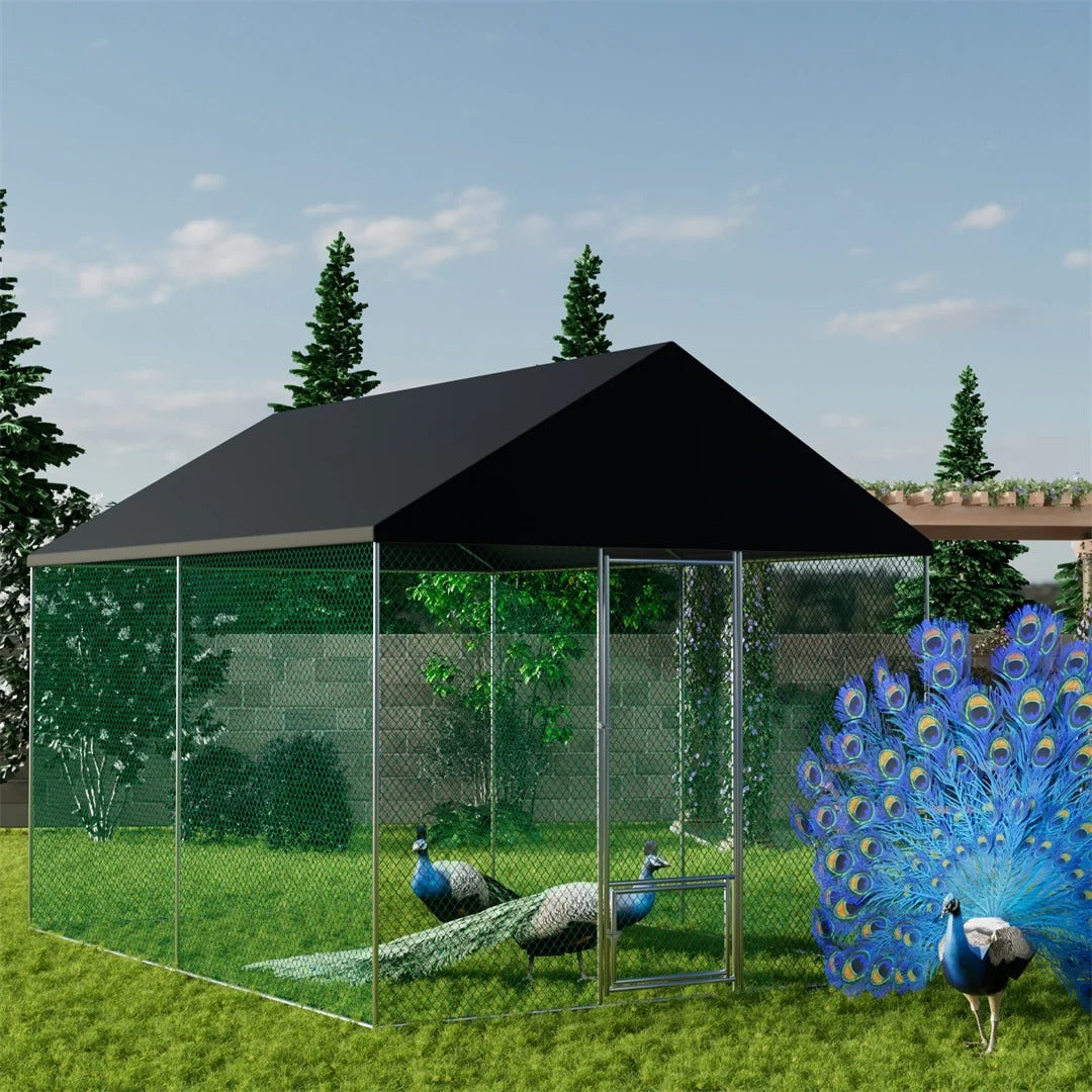 DIY Chicken Coop Ideas for Small UK Gardens – Paw Comfort UK guide