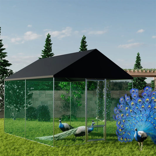 DIY Chicken Coop Ideas for Small UK Gardens – Paw Comfort UK guide