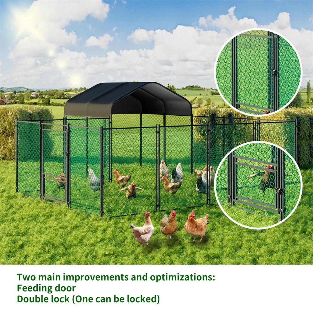 Eco-Friendly Chicken Coop Design: UK Guide – Paw Comfort UK guide