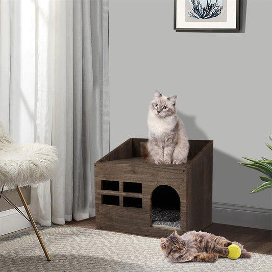 Eco-Friendly Pet Ownership: Practical UK Guide – Paw Comfort UK guide