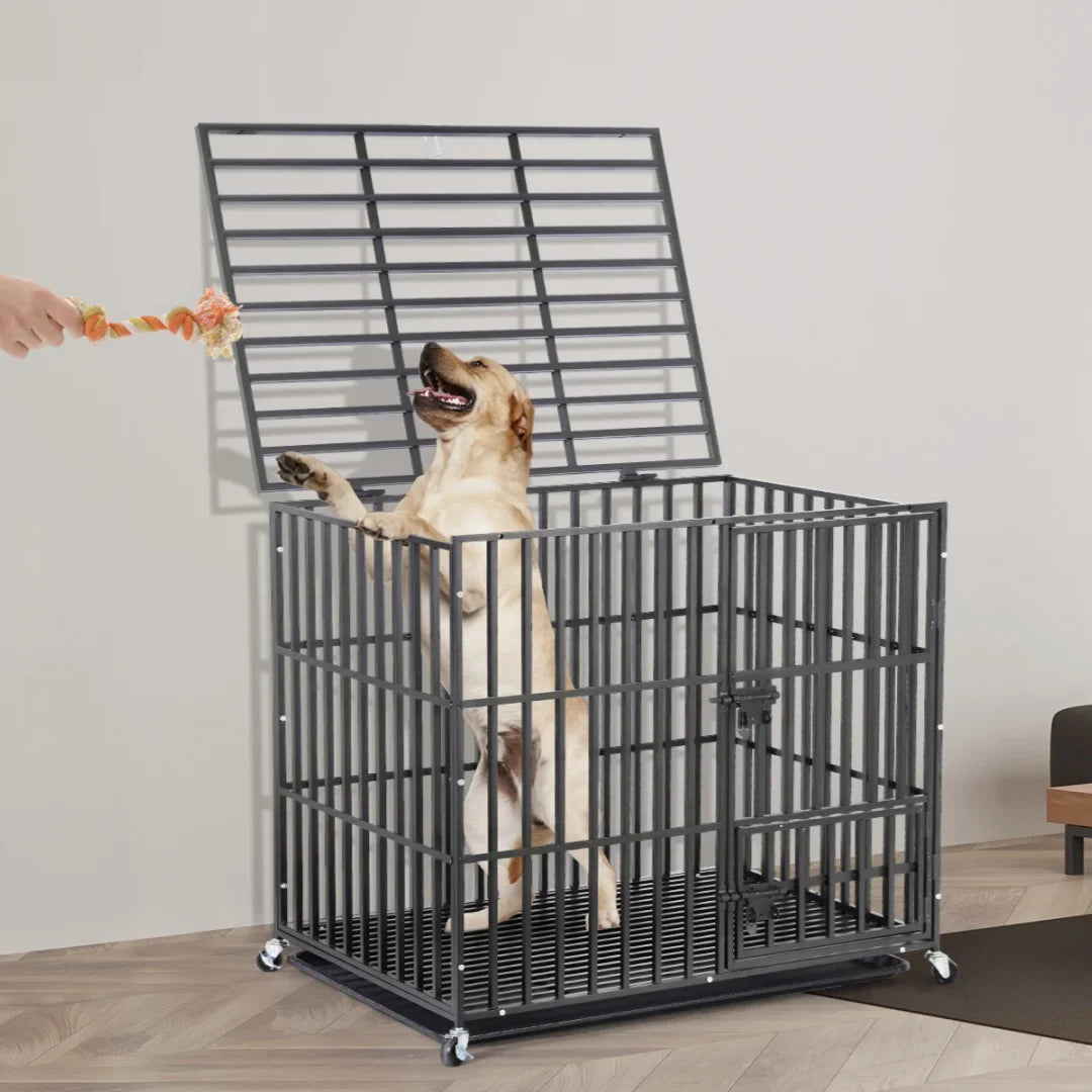 How to Pet-Proof Your Home for Crates, Kennels and Pens – Paw Comfort UK guide