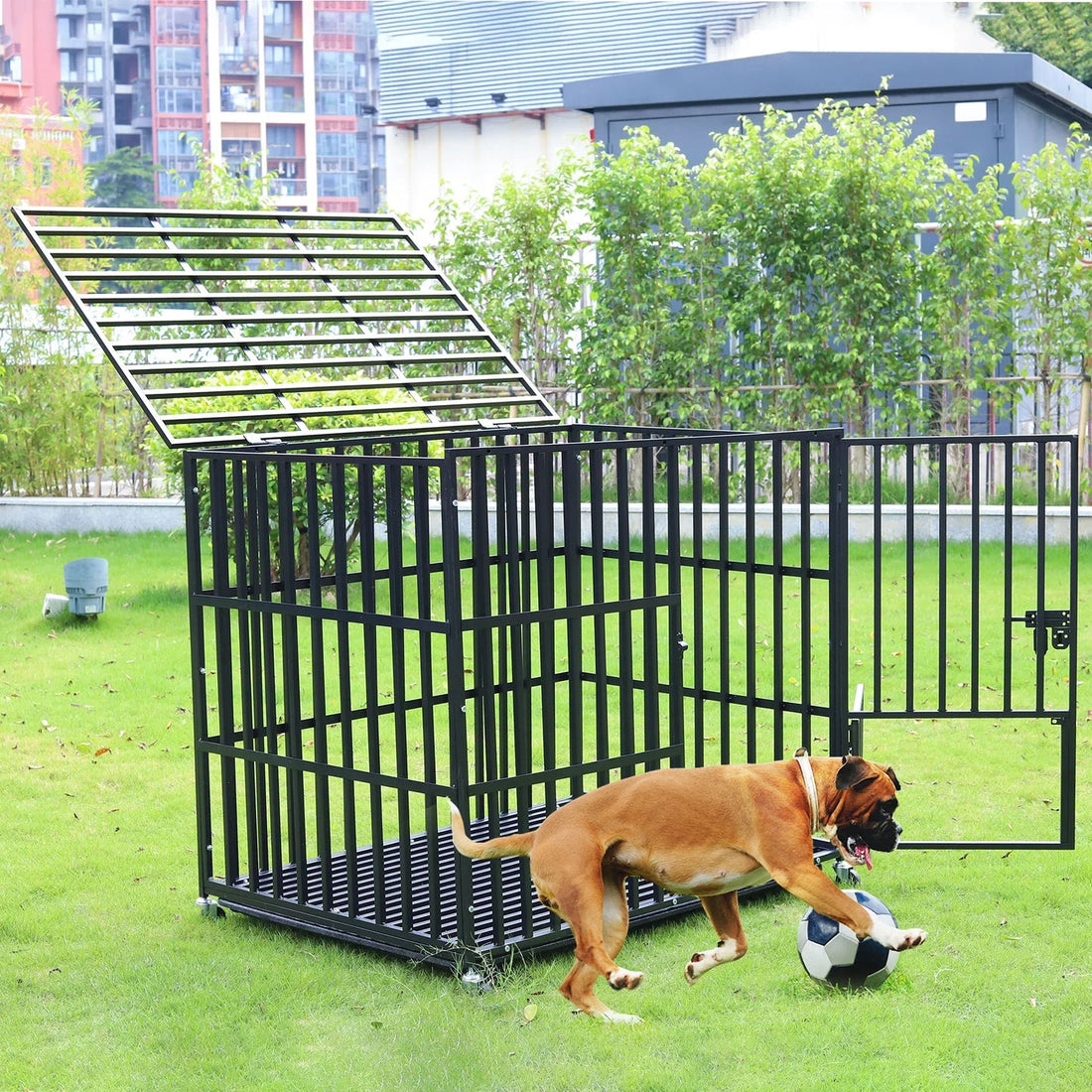 Best Outdoor Dog Kennel Flooring for the UK – Paw Comfort UK guide