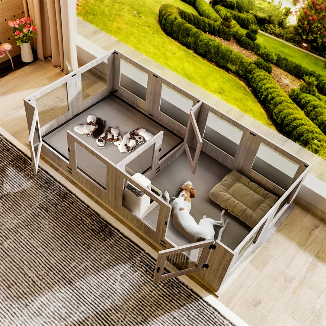 How to Wean Your Dog Off the Crate – Paw Comfort UK guide