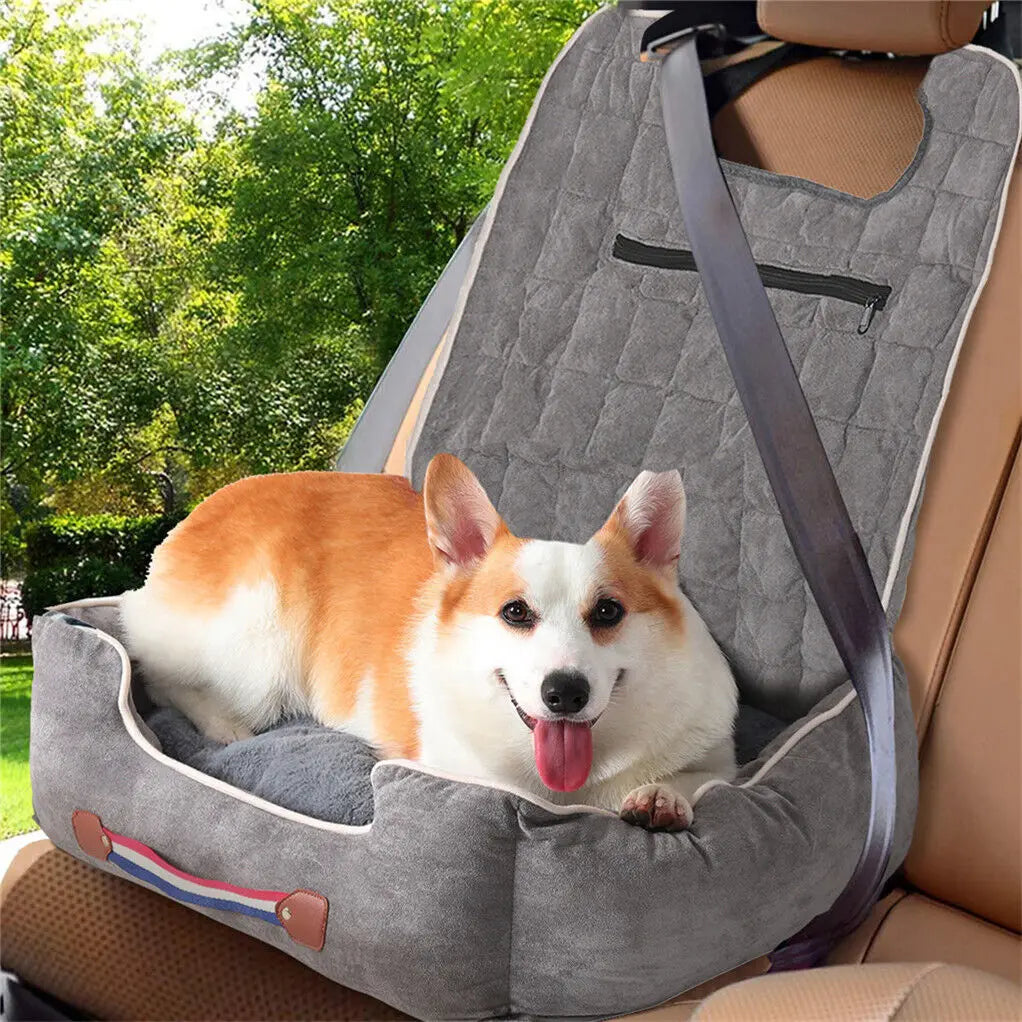 UK Road Trip With a Dog: Complete Checklist – Paw Comfort UK guide