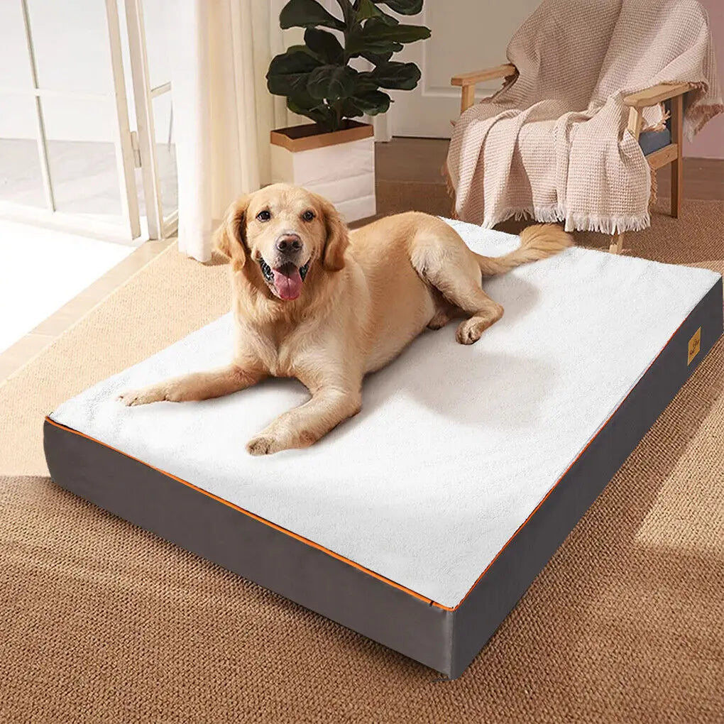 How to Transition a Puppy from Playpen to Crate Smoothly – Paw Comfort UK guide
