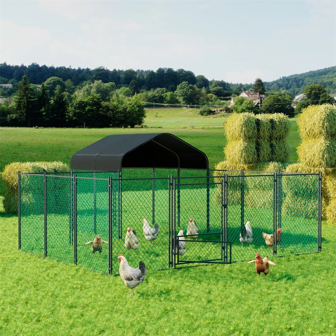 How to Build a Chicken Coop: UK Guide – Paw Comfort UK guide