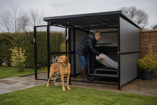 Dog beside an outdoor kennel while dry bedding is placed in the sheltered sleeping area
