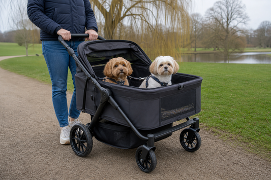 Two relaxed small dogs sitting in a ventilated double dog pram in a UK park