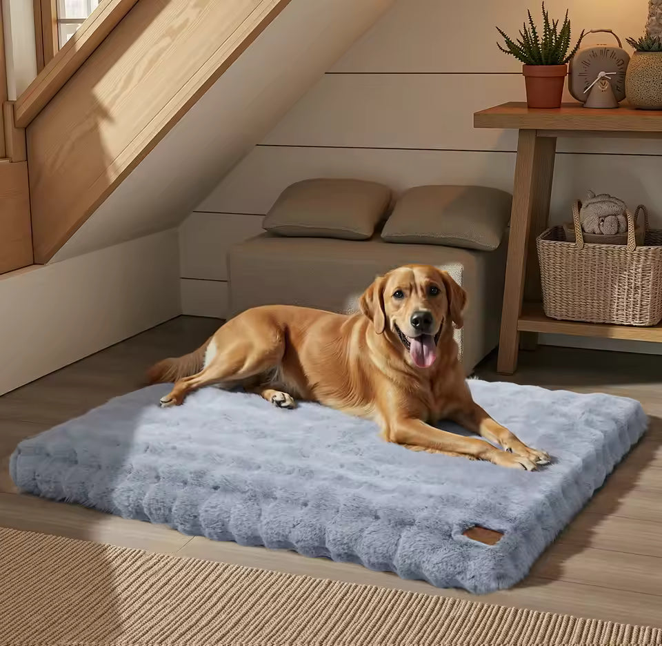 A golden retriever resting on an XXL fluffy grey dog bed on a wooden floor.