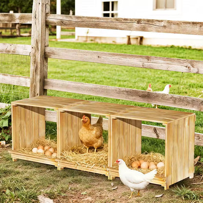 A three-compartment wooden chicken nesting box set horizontally in front of a rustic fence, with a hen inside and eggs in the straw.