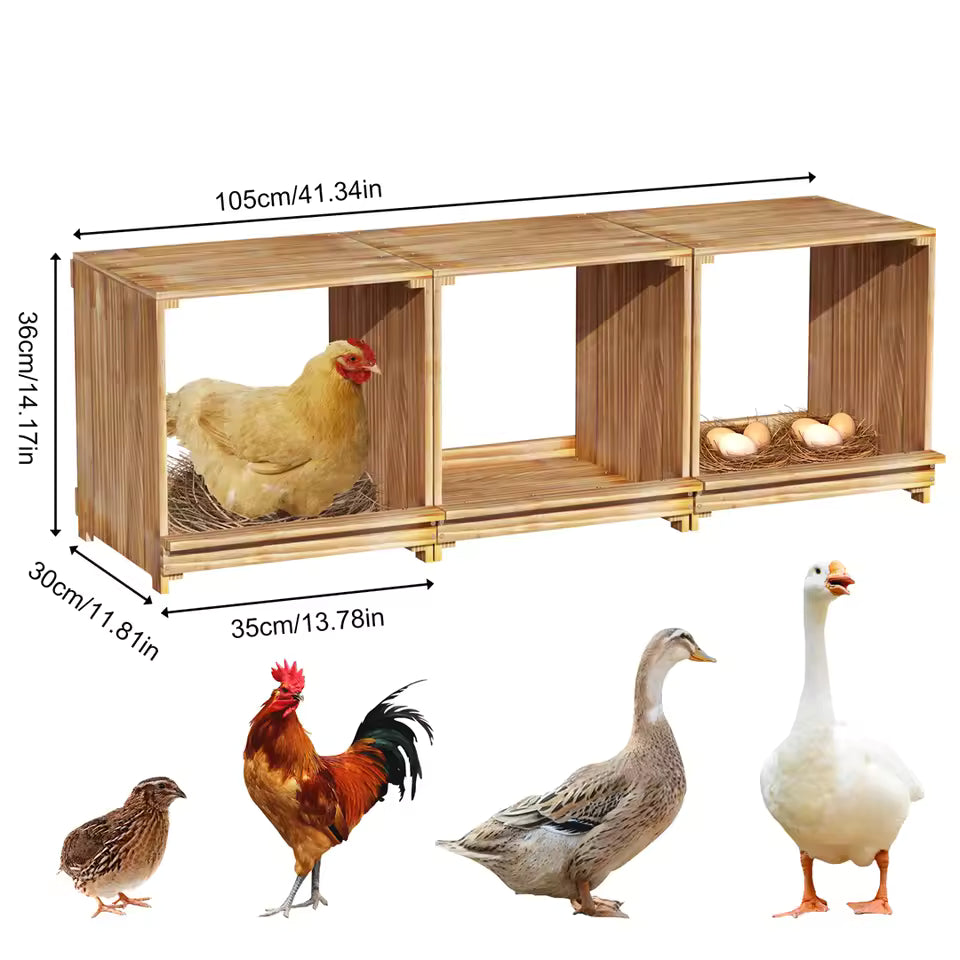 Technical dimension diagram of the 3-compartment pine wood chicken nesting box showing length, height, and individual compartment measurements.