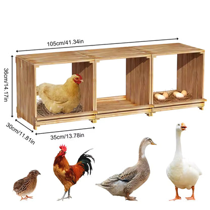 Technical dimension diagram of the 3-compartment pine wood chicken nesting box showing length, height, and individual compartment measurements.