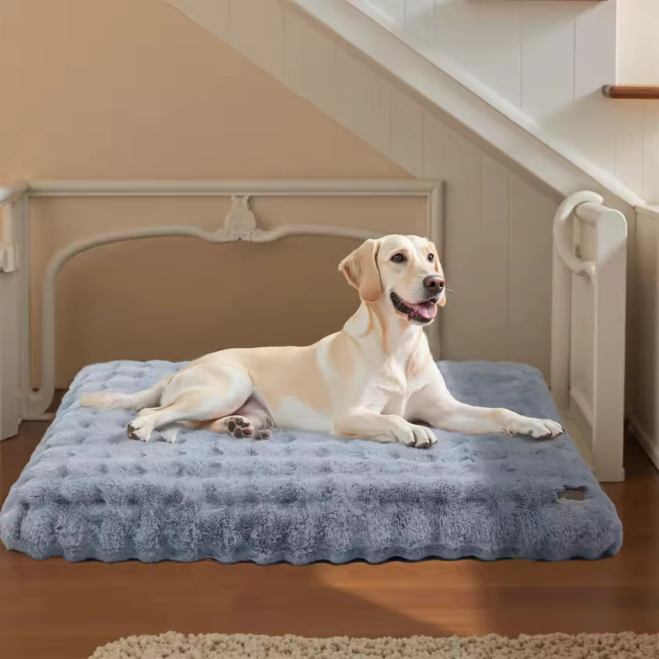 A light-colored dog resting on a 3XL grey fluffy dog bed indoors.