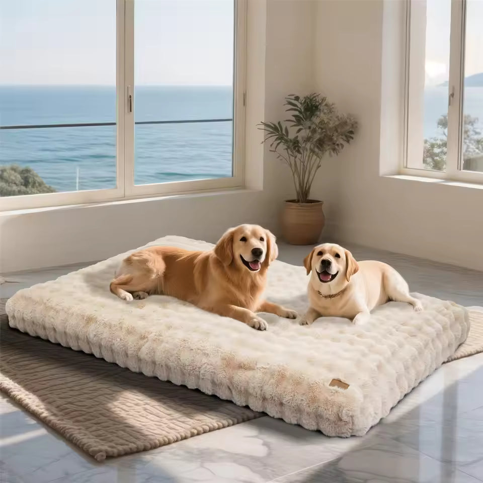 Two Golden Retrievers lie together on a large, fluffy beige faux-fur crate bed on a floor with a scenic ocean view through large windows.
