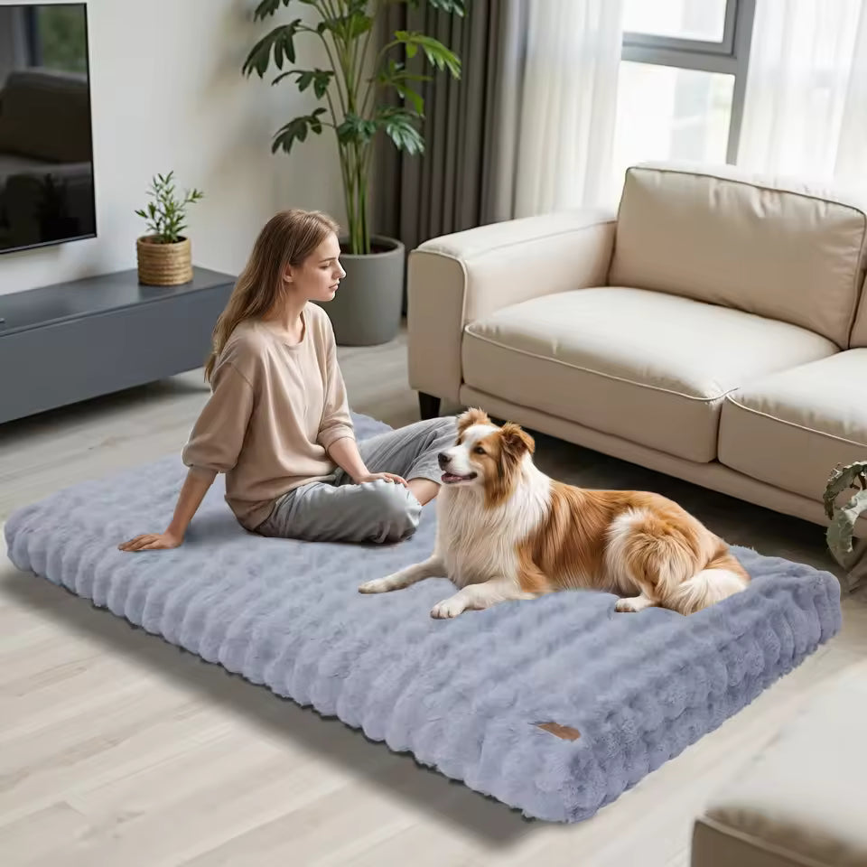 A woman and a brown and white dog sitting together on a large grey fluffy dog bed in a living room.