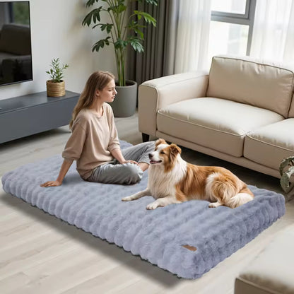 A woman and a brown and white dog sitting together on a large grey fluffy dog bed in a living room.
