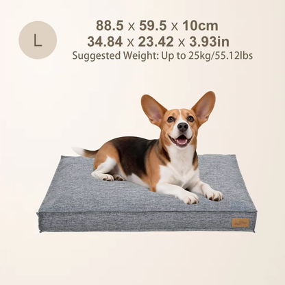A beagle rests on a large gray rectangular dog bed, with sizing and weight information displayed above.