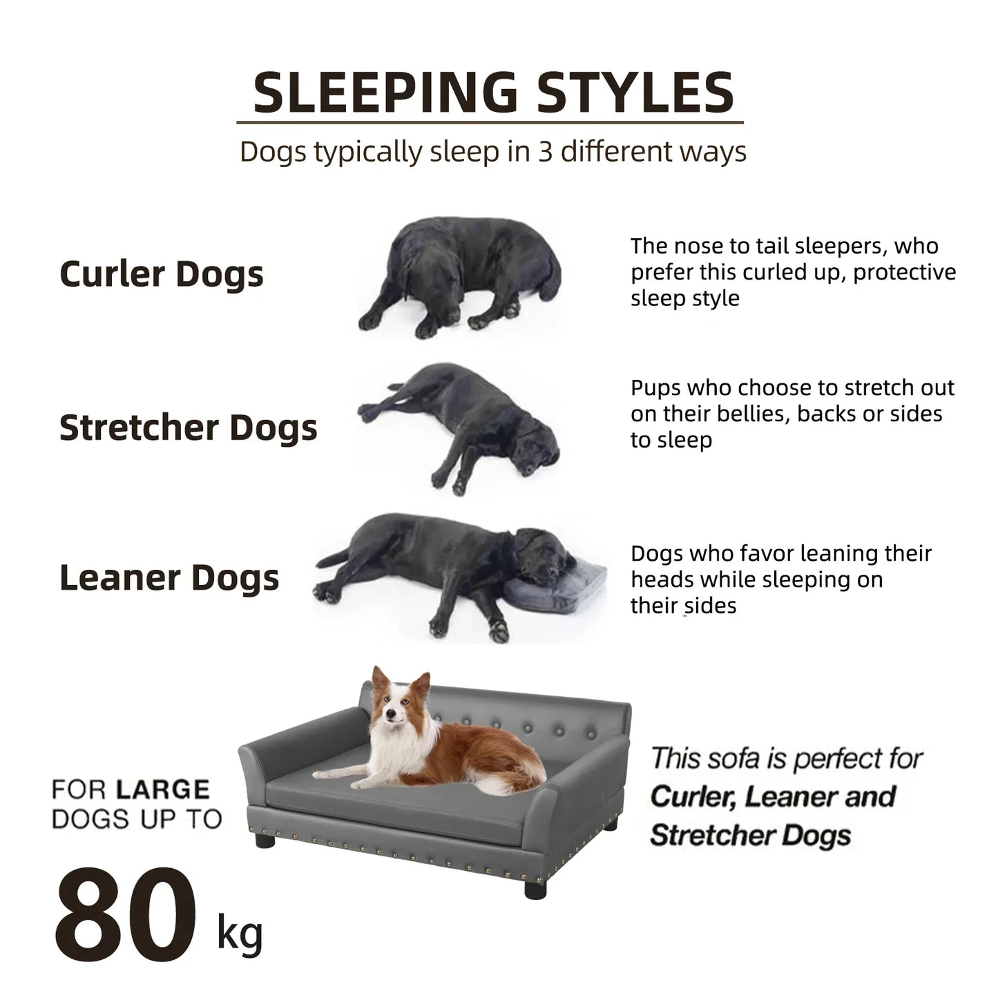 Luxurious Elevated Dog Bed