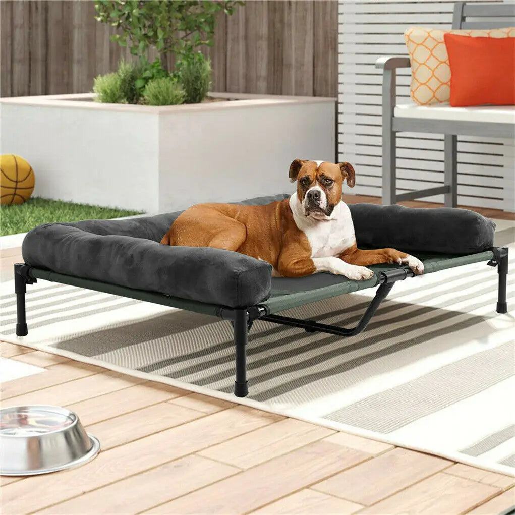 Elevated Dog and Cat Bed with Detachable Plush Bolster - Indoor/Outdoor Cooling Pet Lounger, 3 sizes