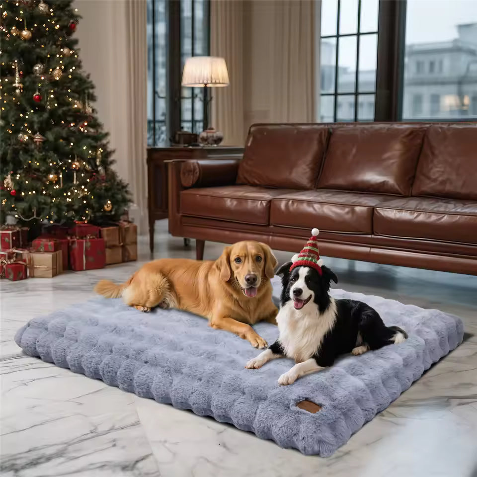 A Golden Retriever and a Border Collie wearing a holiday hat lying on a large plush gray dog bed.