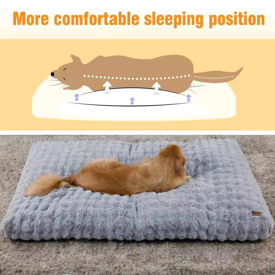 A diagram and photo showing a dog resting comfortably on a plush, supporting gray dog bed.