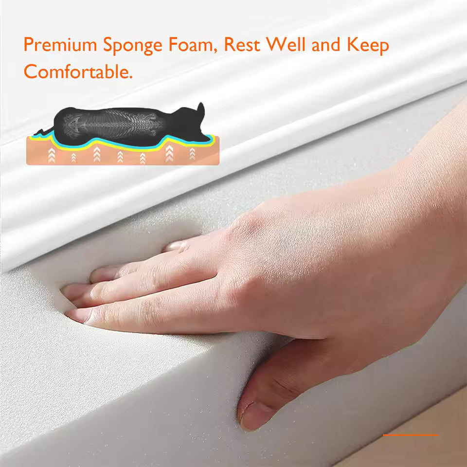 A hand presses down on a thick, white sponge foam mattress, with an illustration showing dog spine support.