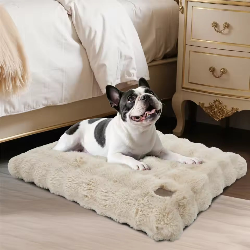 Black and white French Bulldog lies on a fluffy, beige faux-fur crate bed on a wooden floor near a bed.
