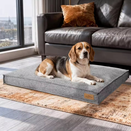 A beagle lies comfortably on a large gray rectangular dog bed placed on an orange patterned rug.
