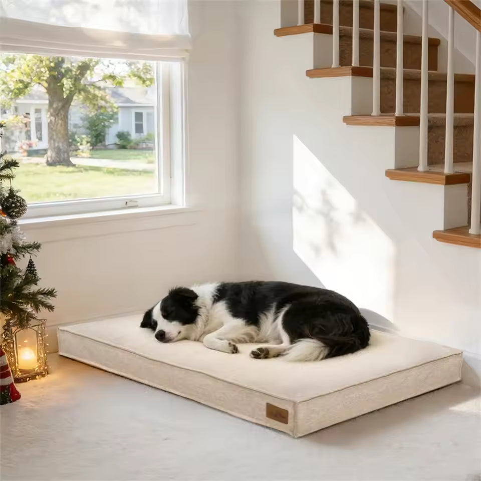 A border collie sleeps on a beige rectangular dog bed near stairs and a window.