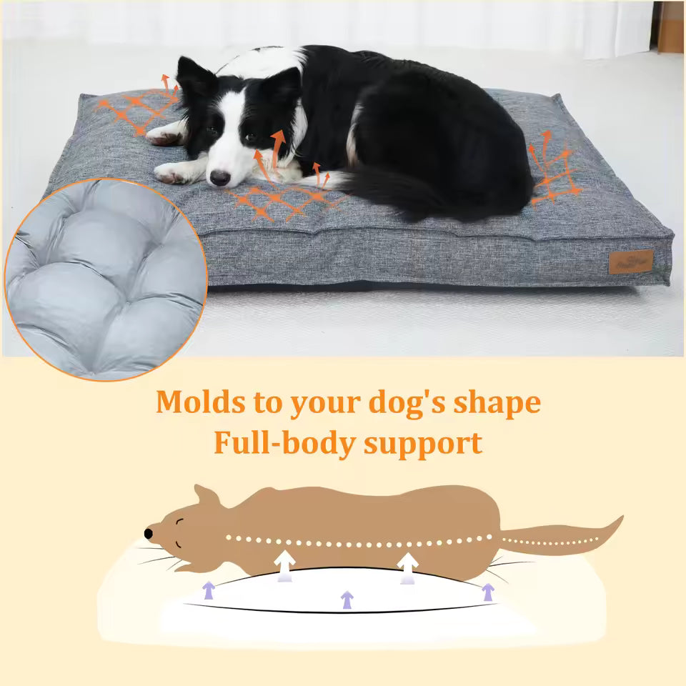A border collie rests on a gray dog bed with an inset showing its supportive inner filling.
