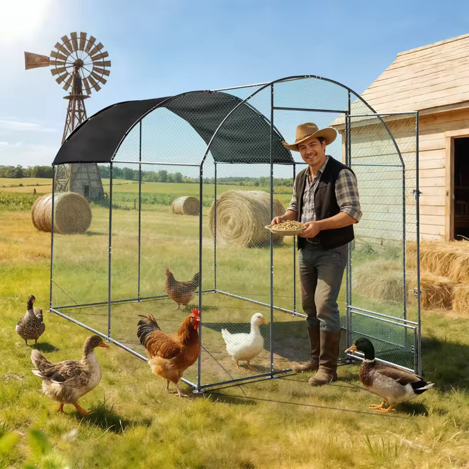 Farmer holding feed inside a large metal chicken coop with a windmill and haybales in the background.