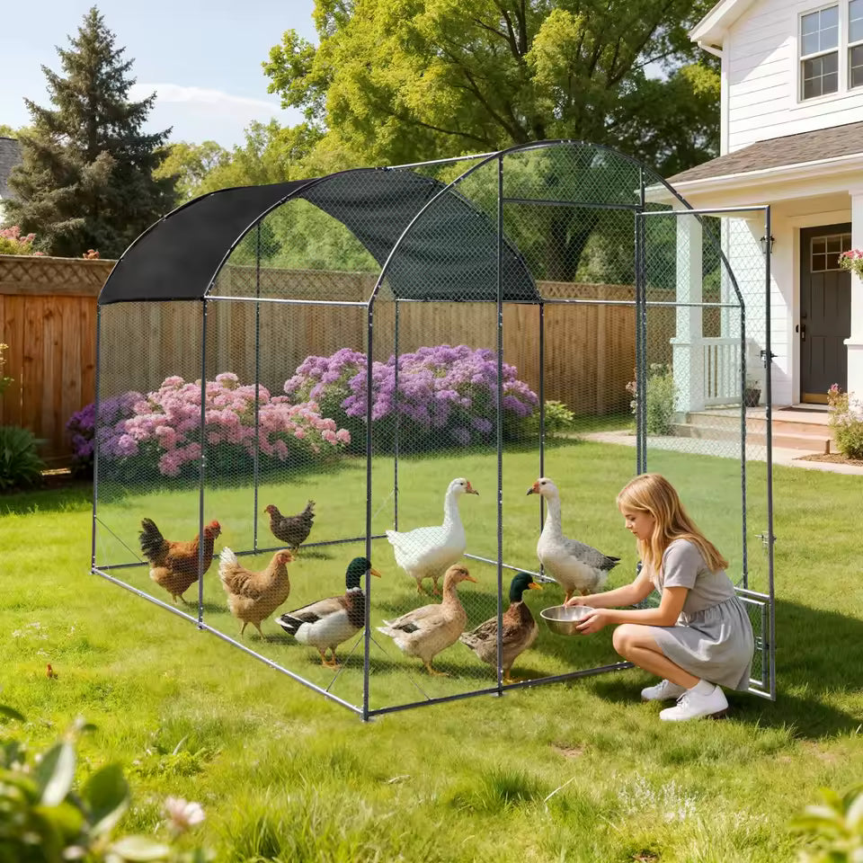 Girl feeding ducks and chickens inside a large metal outdoor coop in a green backyard.