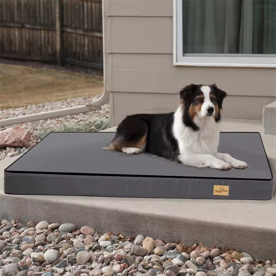 A black and white dog lying on a large grey pet mattress outdoors.