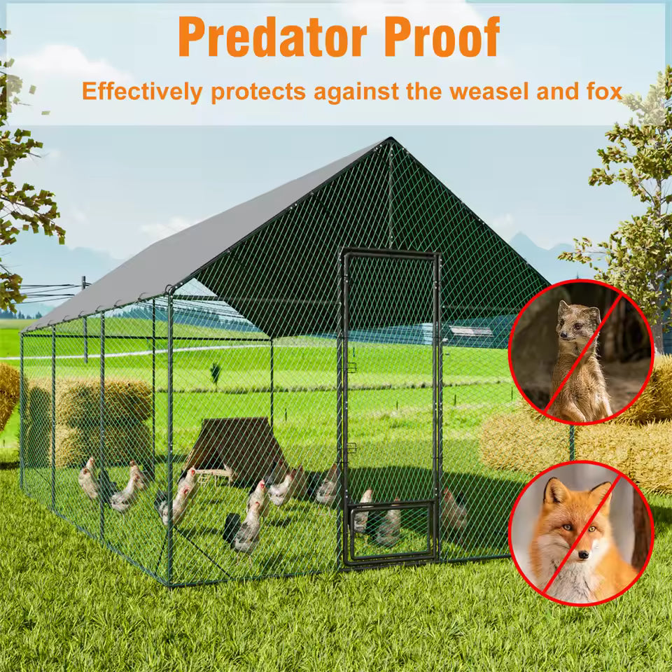 Large outdoor chicken coop and metal running cage on a grassy lawn with chickens inside and predator-proofing labels.