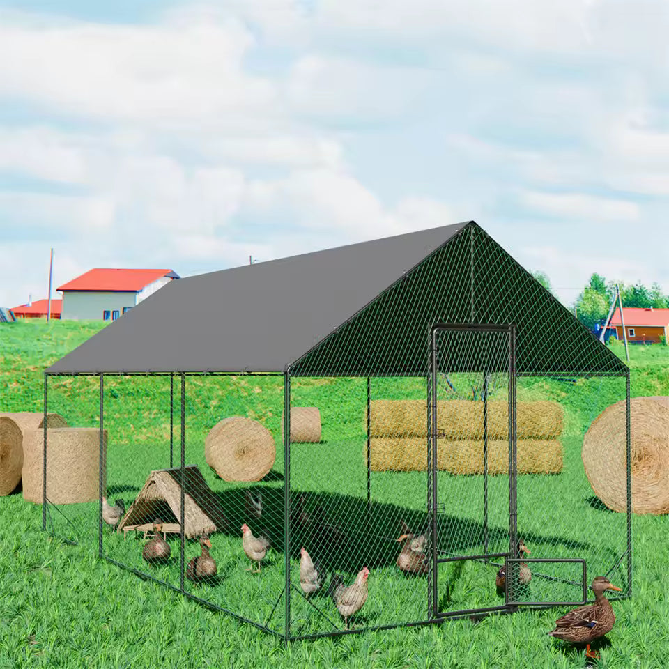 Large outdoor chicken coop and metal running cage on a grassy field with chickens and ducks inside, plus a duck walking outside near the open door.