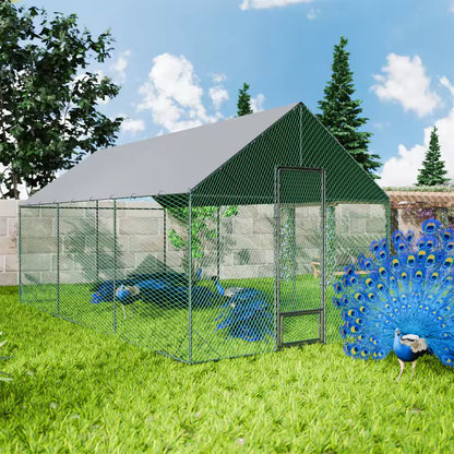 Large outdoor metal run and coop on a grassy lawn with peacocks inside and one peacock displaying its feathers outside.