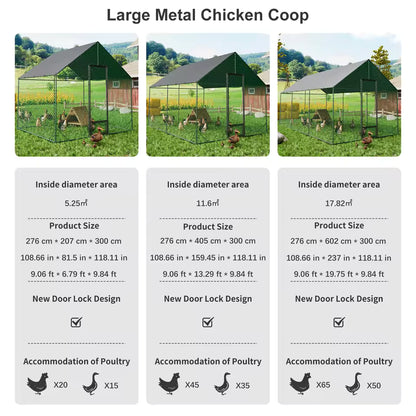 Large metal chicken coop sizing options, interior area, and poultry capacity details.