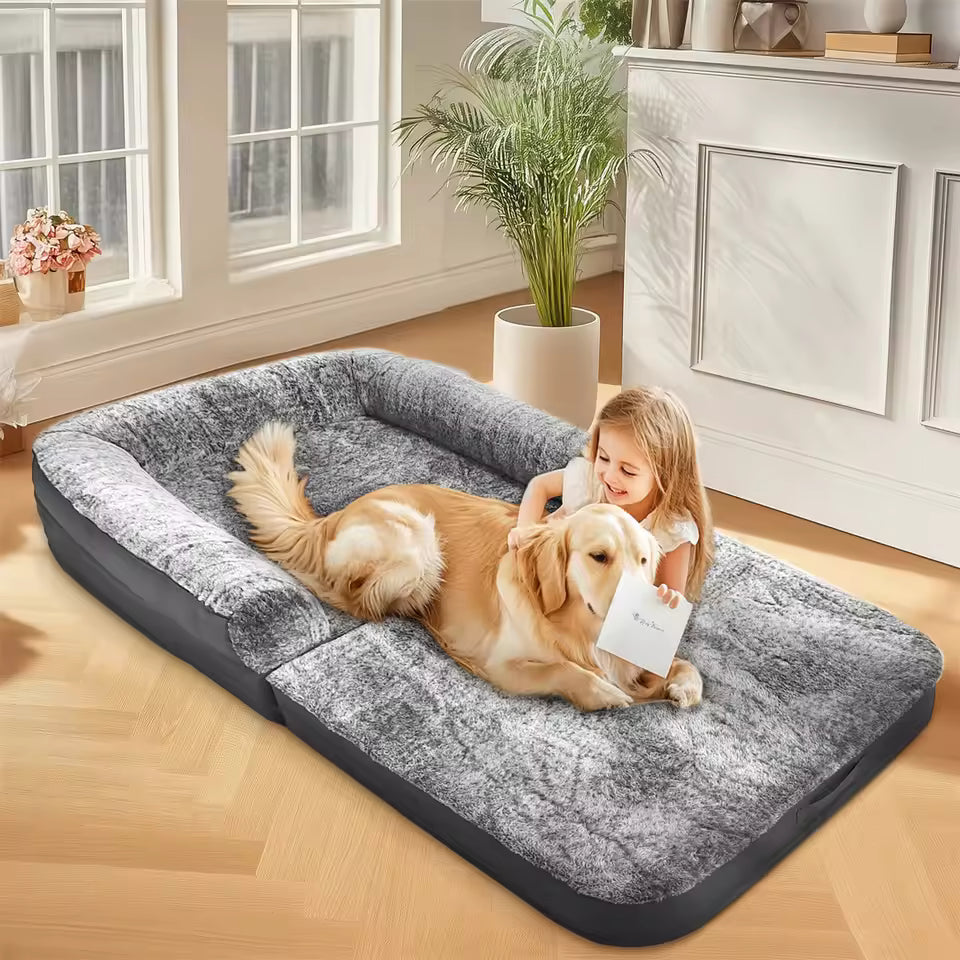 A young girl plays with a golden retriever on a large gray human-sized pet bed in a bright room.