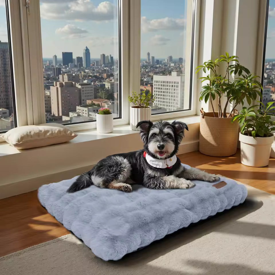 A fluffy grey dog bed with a black and white dog resting on it by a window overlooking a city.
