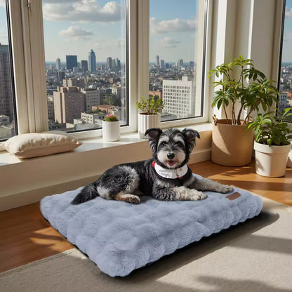 A fluffy grey dog bed with a black and white dog resting on it by a window overlooking a city.