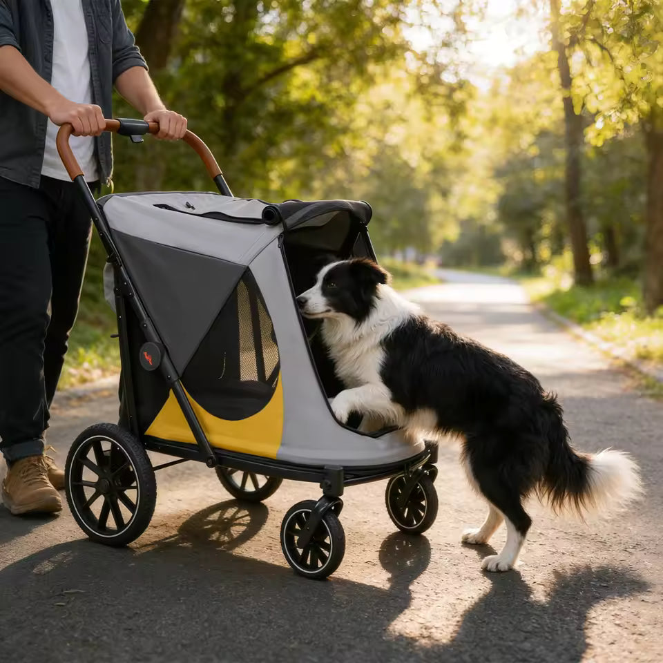A black and white dog steps out of a grey and yellow pet stroller being pushed by a person in a park.